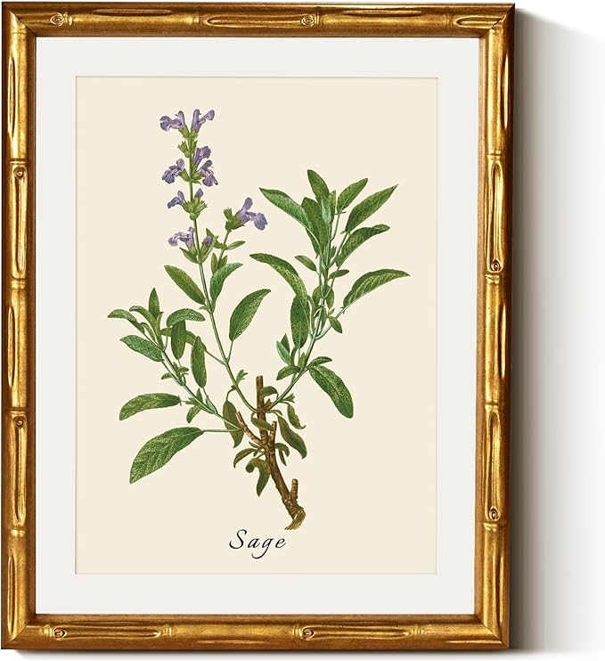 InSimSea Gold Bamboo Framed Canvas Wall Art, Vintage Watercolor Sage Herbs Prints, Antique Picture Frame with Mat, Victorian Home Wall Decor for Kitchen Dining Living Room Bedroom, 11x14inch
