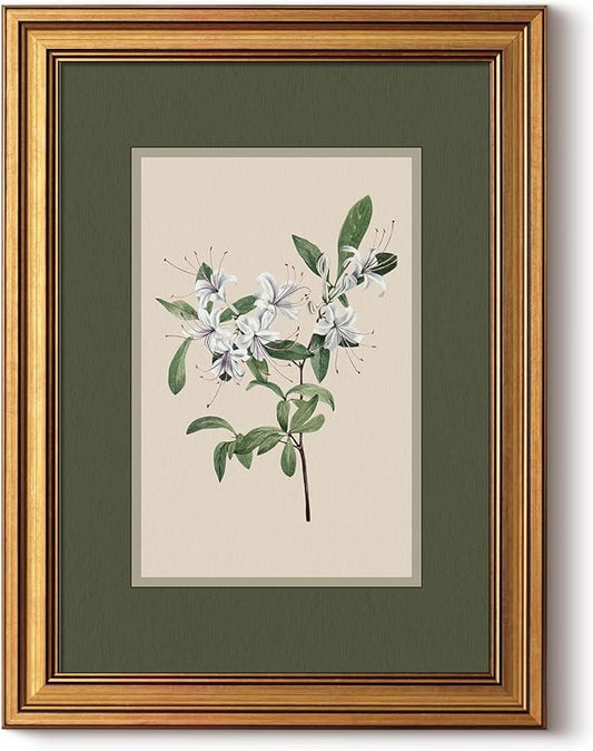 InSimSea Gold Framed Canvas Prints Wall Art, Vintage Nursery Decor, Botanical White Floral Paintings Farmhouse Wall Decor, Antique Minimalist Pictures for Bedroom Living Room Shelf, 12x16inch