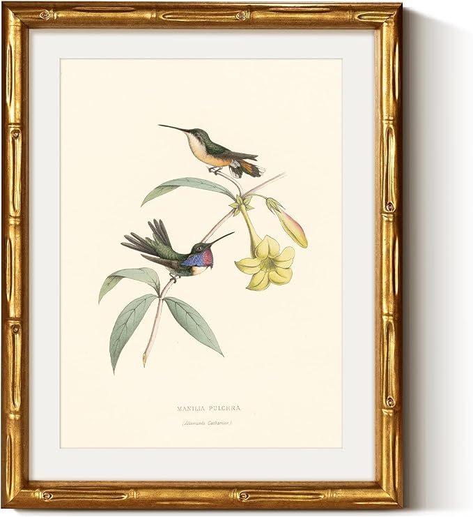 VIYYIEA Bamboo Detail Design Gold Framed Wall Art Bedroom Decor, Vintage Canvas Wall Art Prints for Living Room, Hummingbirds Artwork, Animal Painting Picture Print, Home Decor Aesthetic 11 x 14inch