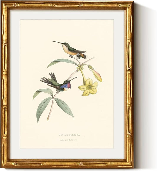 VIYYIEA Bamboo Detail Design Gold Framed Wall Art Bedroom Decor, Vintage Canvas Wall Art Prints for Living Room, Hummingbirds Artwork, Animal Painting Picture Print, Home Decor Aesthetic 11 x 14inch