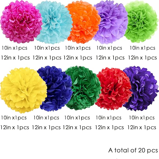 We Moment Colorful Tissue Paper Flowers Decorations for Birthday Mexican Party Party Decor Ceiling Wall Hanging Tissue Pom Poms 20pcs