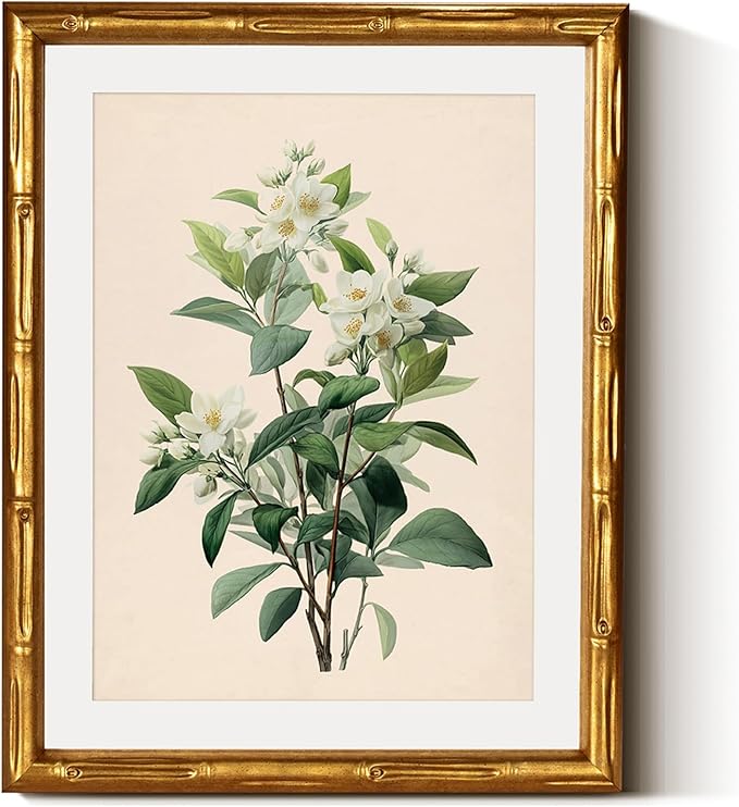 InSimSea Gold Bamboo Framed Canvas Wall Art, Vintage White Jasmine Botanical Prints, Antique Picture Frame with Mat, Victorian Home Wall Decor for Kitchen Dining Living Room Bedroom, 11x14inch