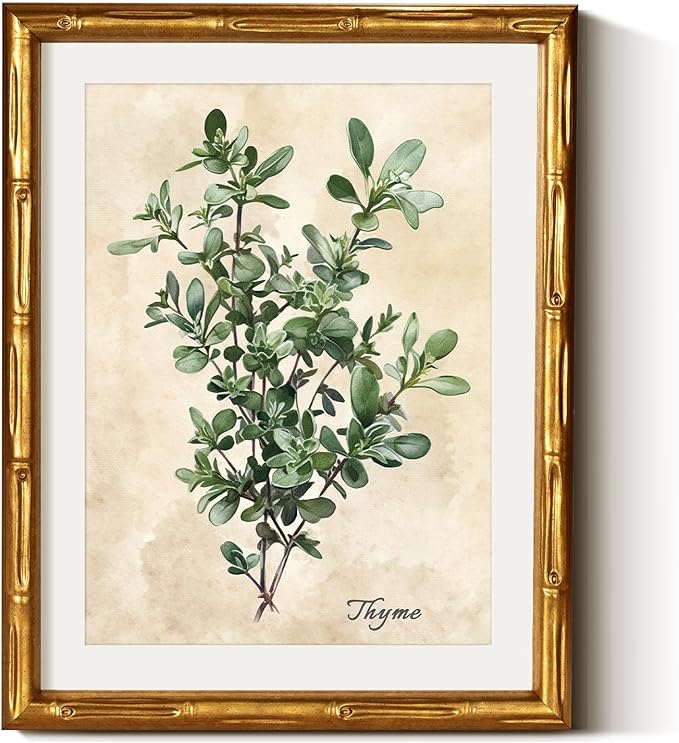 VIYYIEA Bamboo Detail Design Gold Framed Wall Art, Thyme Canvas Prints, Vintage Wall Art Bamboo Style Botanical Wall Decor for Living Room, Picture Print Painting, 11 x 14 Inch