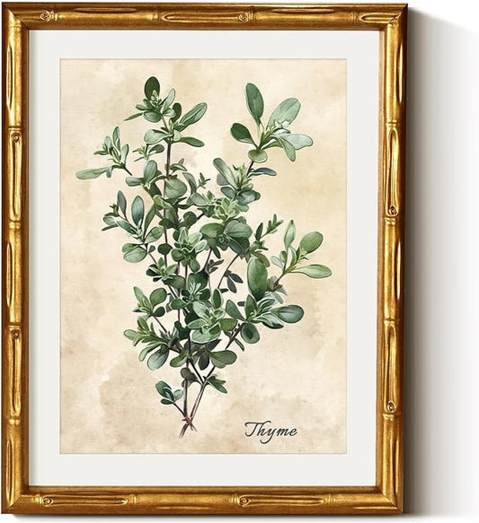 VIYYIEA Bamboo Detail Design Gold Framed Wall Art, Thyme Canvas Prints, Vintage Wall Art Bamboo Style Botanical Wall Decor for Living Room, Picture Print Painting, 11 x 14 Inch