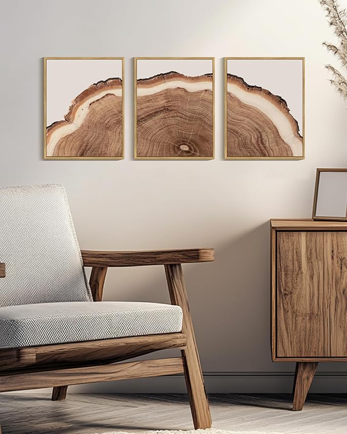 Drsoum Vintage Retro Tree Rings Wood Framed Wall Art Wood Stump Prints Modern Nature Rustic Artwork Bedroom Living Room Ready to Hang 11x14in Natural Framed
