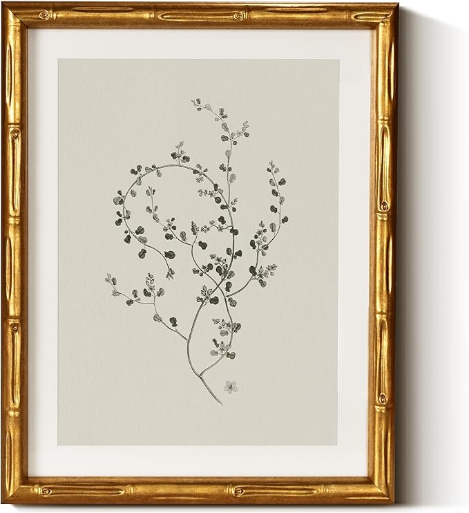 InSimSea Gold Bamboo Framed Canvas Wall Art, Minimalist Floral Botanical Paintings, Antique Vintage Picture Frame with Mat, Victorian Home Wall Decor for Living Room Bedroom Gallery, 11x14inch
