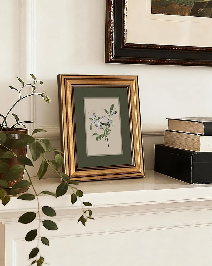 InSimSea Gold Framed Canvas Wall Art, Vintage Botanical Wall Decor for Living Room, White Floral Paintings Farmhouse Decor Aesthetic, Small Minimalist Prints for Bedroom Shelf Gift, 8x10inch