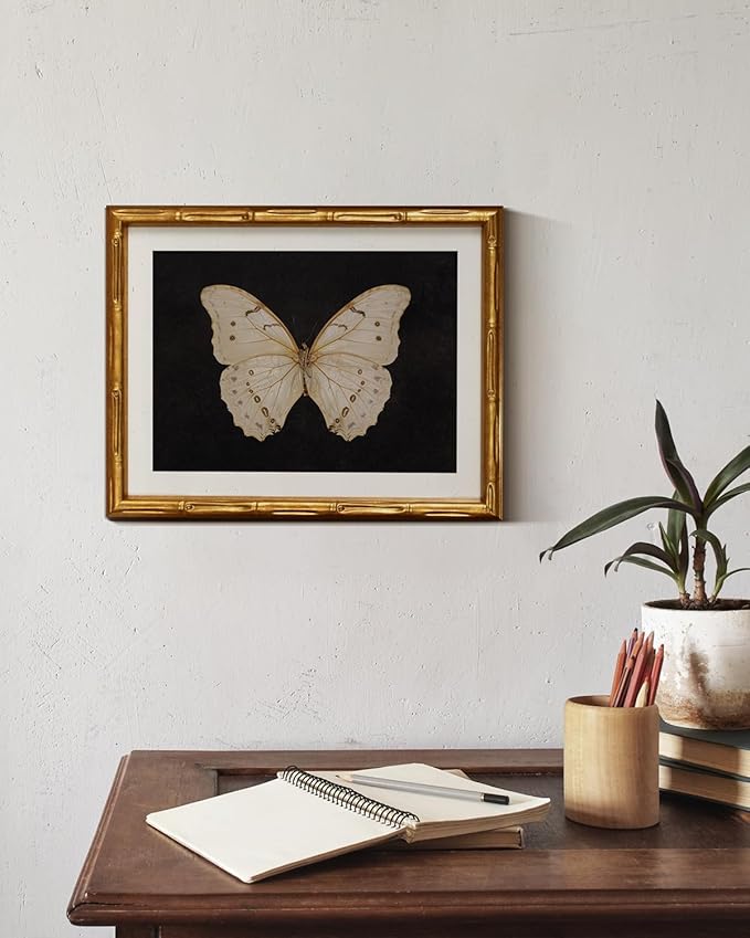 InSimSea Gold Bamboo Framed Canvas Wall Art, Retro White Butterfly Animal Paintings, Antique Vintage Picture Frame with Mat, Victorian Home Wall Decor for Living Room Bedroom Gallery, 11x14inch