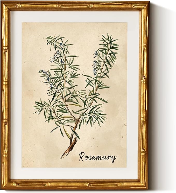 InSimSea Gold Bamboo Framed Canvas Wall Art, Retro Herbs Rosemary Botanical Paintings, Antique Vintage Picture Frame with Mat, Victorian Home Wall Decor for Living Room Kitchen Dining, 11x14inch