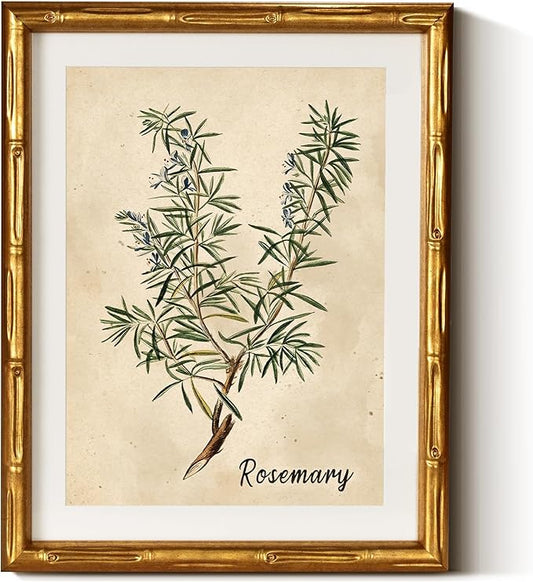 InSimSea Gold Bamboo Framed Canvas Wall Art, Retro Herbs Rosemary Botanical Paintings, Antique Vintage Picture Frame with Mat, Victorian Home Wall Decor for Living Room Kitchen Dining, 11x14inch