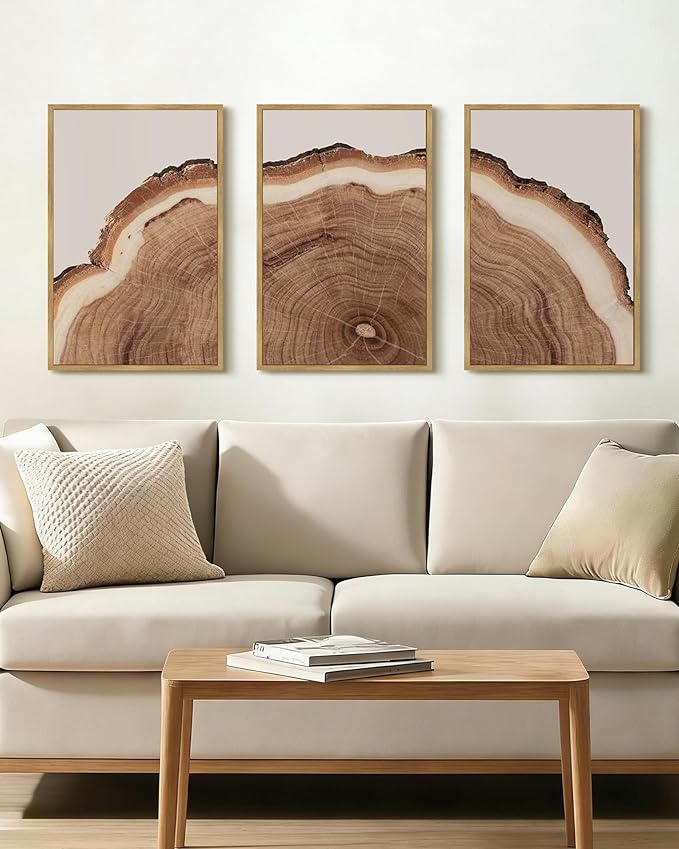 Drsoum Vintage Retro Tree Rings Wood Framed Wall Art Wood Stump Prints Modern Nature Rustic Artwork Bedroom Living Room Ready to Hang 16x24in Natural Framed