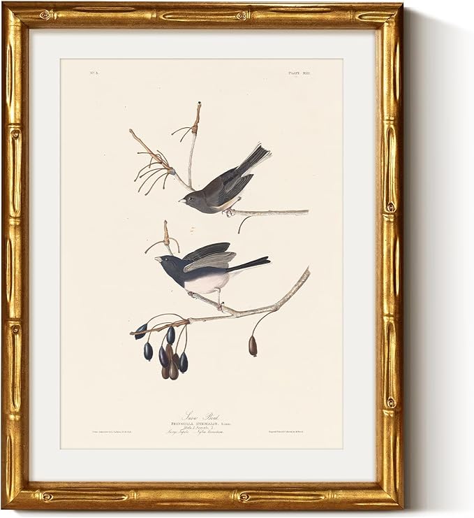 VIYYIEA Bamboo Detail Design Gold Framed Wall Art Kitchen Decor, Vintage Canvas Wall Art Prints for Living Room, Snow Birds Artwork, Animal Painting Picture Print, Home Decor Aesthetic 11 x 14inch