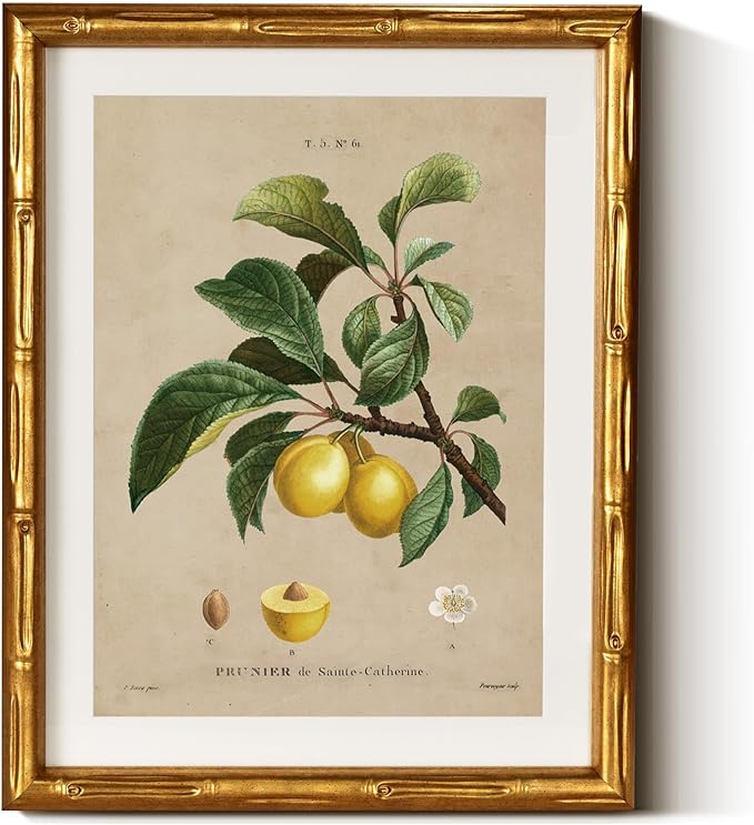InSimSea Gold Bamboo Framed Canvas Wall Art, Retro Nature Plum Botanical Paintings, Antique Vintage Picture Frame with Mat, Victorian Home Wall Decor for Living Room Kitchen Dining, 11x14inch