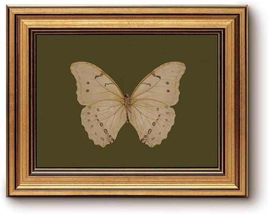 InSimSea Gold Framed Canvas Wall Art, Vintage Butterfly Wall Decor for Living Room, Moody Paintings Farmhouse Decor, Small Minimalist Prints for Bedroom Bathroom Shelf Gift, 8x10inch