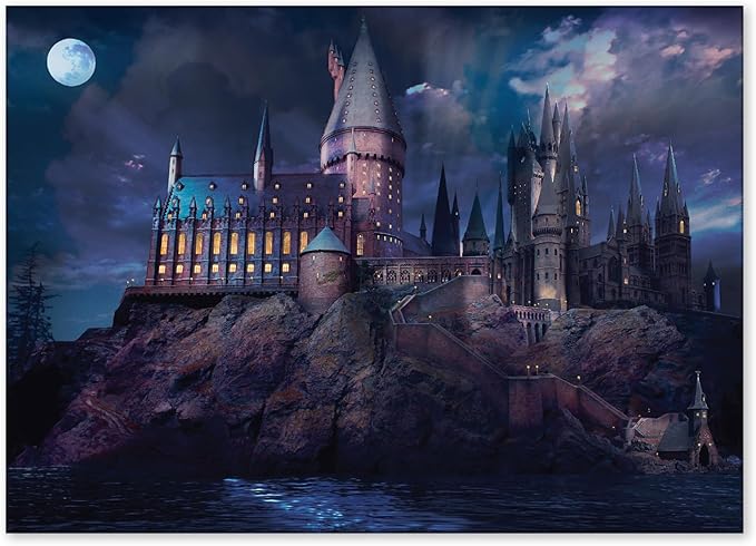 ConQuest Journals Harry Potter Hogwarts Castle at Night Backdrop Wall Banner, Large Photo Backdrop, Party Decoration, Wizarding World Room Decor, 5ft x 7ft (60'' x 84''), Officially Licensed