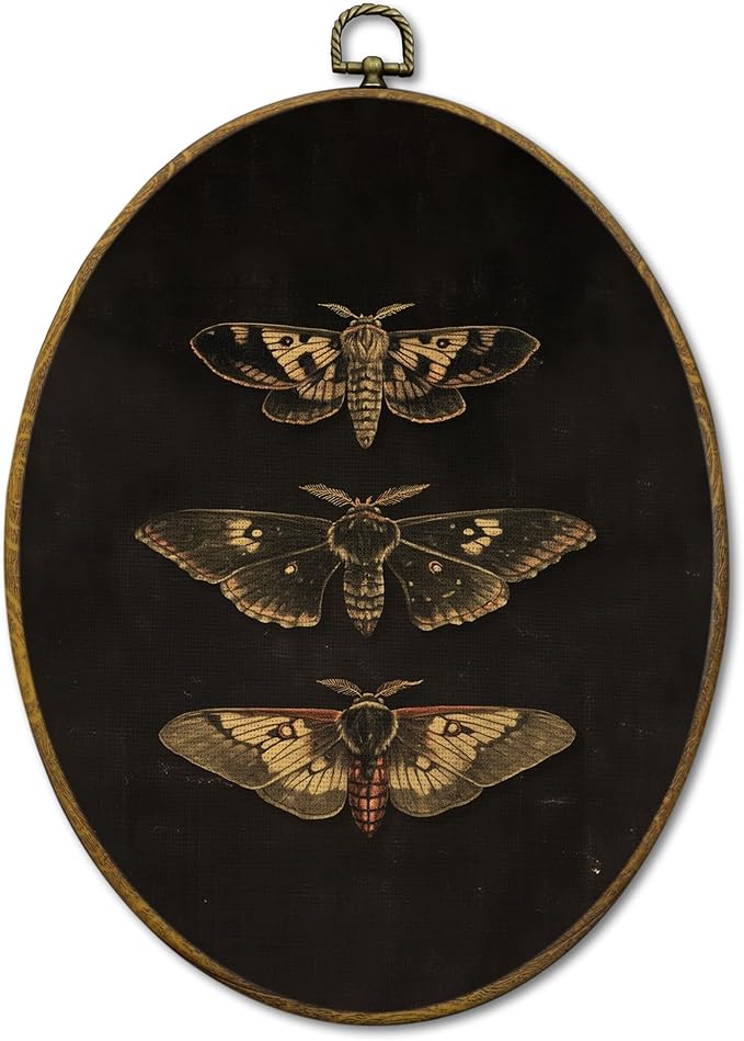Mcehtle Dark Moody Moth Wall Art Decor, Dark Academia Butterfly Framed Canvas Prints 8.6x11.4, Vintage Cottagecore Moth Wall Hanging Artwork Decorations for Gallery Home Bedroom Livingroom