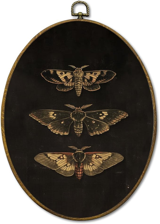 Mcehtle Dark Moody Moth Wall Art Decor, Dark Academia Butterfly Framed Canvas Prints 8.6x11.4, Vintage Cottagecore Moth Wall Hanging Artwork Decorations for Gallery Home Bedroom Livingroom
