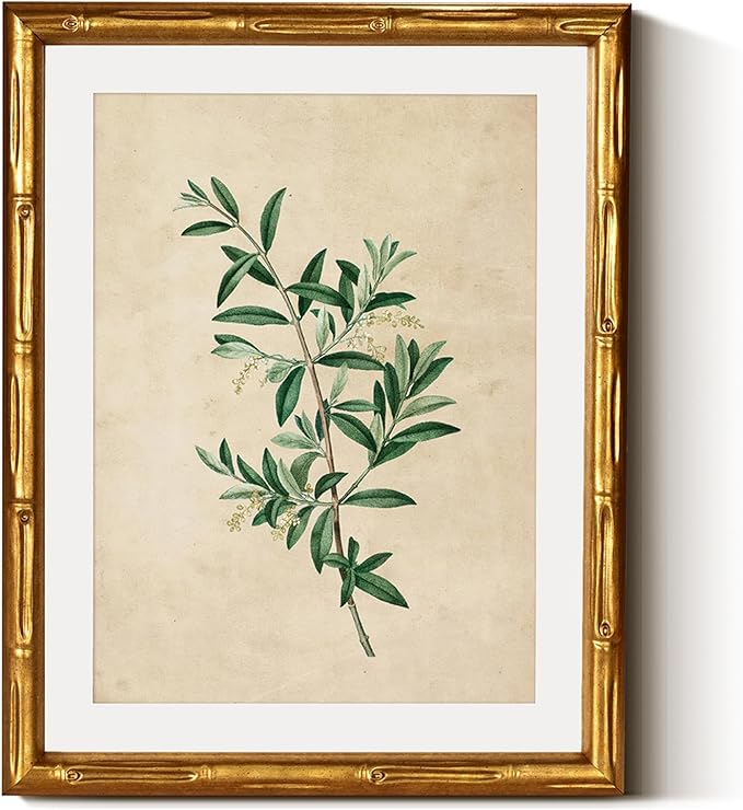 InSimSea Gold Bamboo Framed Canvas Wall Art, Vintage Olive Flower Botanical Prints, Antique Picture Frame with Mat, Victorian Home Wall Decor for Kitchen Dining Living Room Bedroom, 11x14inch