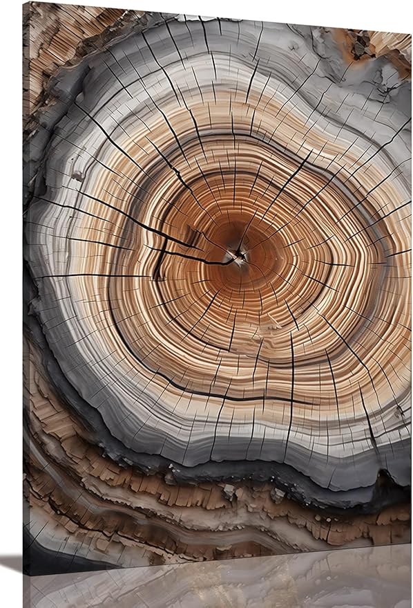 IBHJSART Framed Tree Ring Canvas Wall Art Vintage Colorful Wood Stump Painting Prints Modern Minimalist Pictures Neutral Nature Rustic Farmhouse Decor Living Room Bedroom Bathroom Office