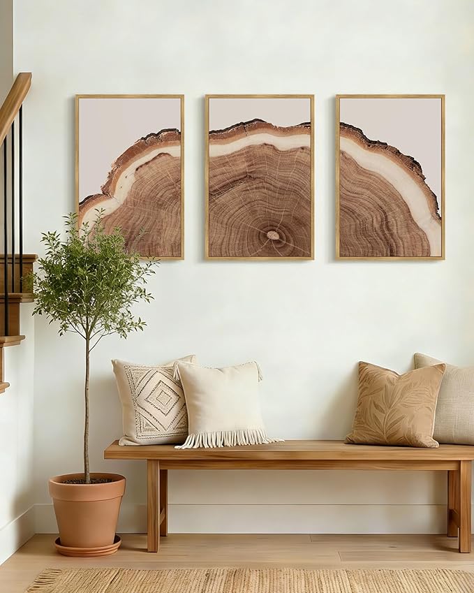 Drsoum Vintage Retro Tree Rings Wood Framed Wall Art Wood Stump Prints Modern Nature Rustic Artwork Bedroom Living Room Ready to Hang 16x24in Natural Framed