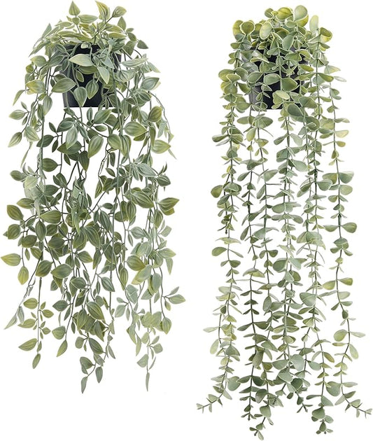 Der Rose 2Pcs Fake Plants Hanging Artificial Decor Faux Potted Eucalyptus and Pea Pod Plants for Boho Bathroom Home Office Desk Wall Shelf Bookcase Accessories Decor Indoor