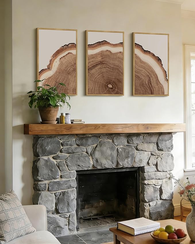 Drsoum Vintage Retro Tree Rings Wood Framed Wall Art Wood Stump Prints Modern Nature Rustic Artwork Bedroom Living Room Ready to Hang 16x24in Natural Framed