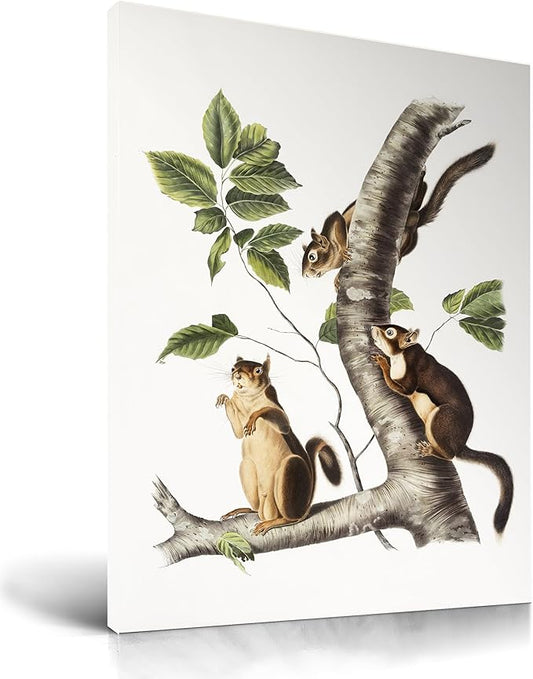KensTro Vintage Framed Wall Art,12" x 16" Wood Framed Canvas Wall Art,Three Cute Squirrels Crawl on Tree Branch Modern Abstract Patterns for Bedroom Living Room,Minimalist Office Wall Decor,1Pack Gift