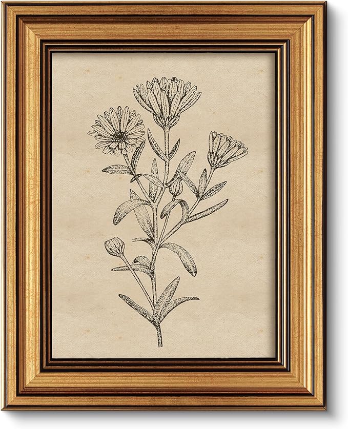 ARPEOTCY Gold Framed Canvas Art Prints, 8x10inch, Botanical Wildflower Art Painting, Vintage Country Decor for Bathroom Bedroom Kitchen Shelf, Rustic Cottagecore Minimalist Plant Pictures