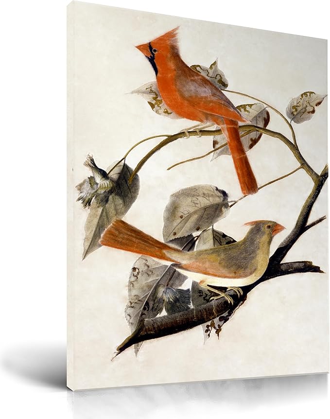 KensTro Bird Wall Art,12" x 16" Framed Canvas Wall Art,Watercolor Birds Prints for Bedroom Living Room,Cardinal Grosbeak Abstract Patterns The Birds of America,Minimalist Office Wall Décor,1Pack Gift