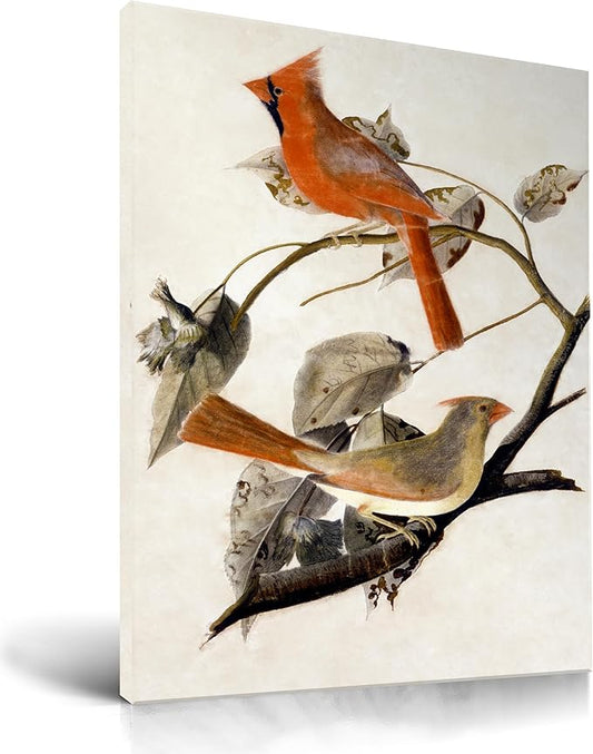 KensTro Bird Wall Art,12" x 16" Framed Canvas Wall Art,Watercolor Birds Prints for Bedroom Living Room,Cardinal Grosbeak Abstract Patterns The Birds of America,Minimalist Office Wall Décor,1Pack Gift