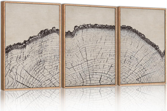 HPINUB Vintage Wood Tree Rings Wall Art Set, Framed Canvas Paintings, Black and White Nature-Inspired Decorative for Modern Home Decor for Living Room, Bedroom, Dining Room, Office- 24"x36"x3