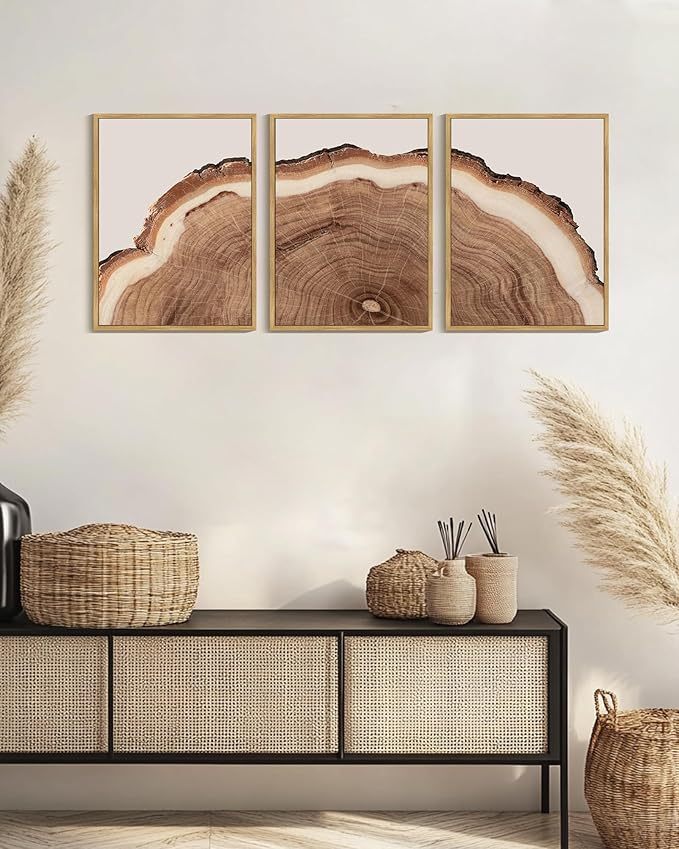 Drsoum Vintage Retro Tree Rings Wood Framed Wall Art Wood Stump Prints Modern Nature Rustic Artwork Bedroom Living Room Ready to Hang 12x16in Natural Framed