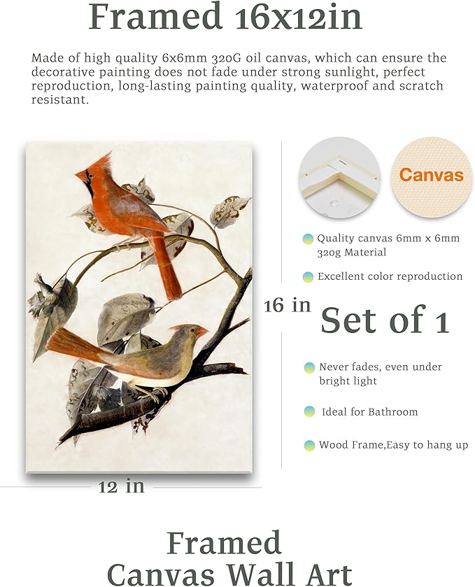 KensTro Bird Wall Art,12" x 16" Framed Canvas Wall Art,Watercolor Birds Prints for Bedroom Living Room,Cardinal Grosbeak Abstract Patterns The Birds of America,Minimalist Office Wall Décor,1Pack Gift