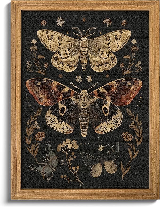 3D Textured Vintage Butterfly Framed Wall Art, Dark Academia Moth Wall Decor Painting, Hand Drawn Sandstone Gothic Moody Insect Artwork Picture for Living Room Bedroom Office 16x24 Inch