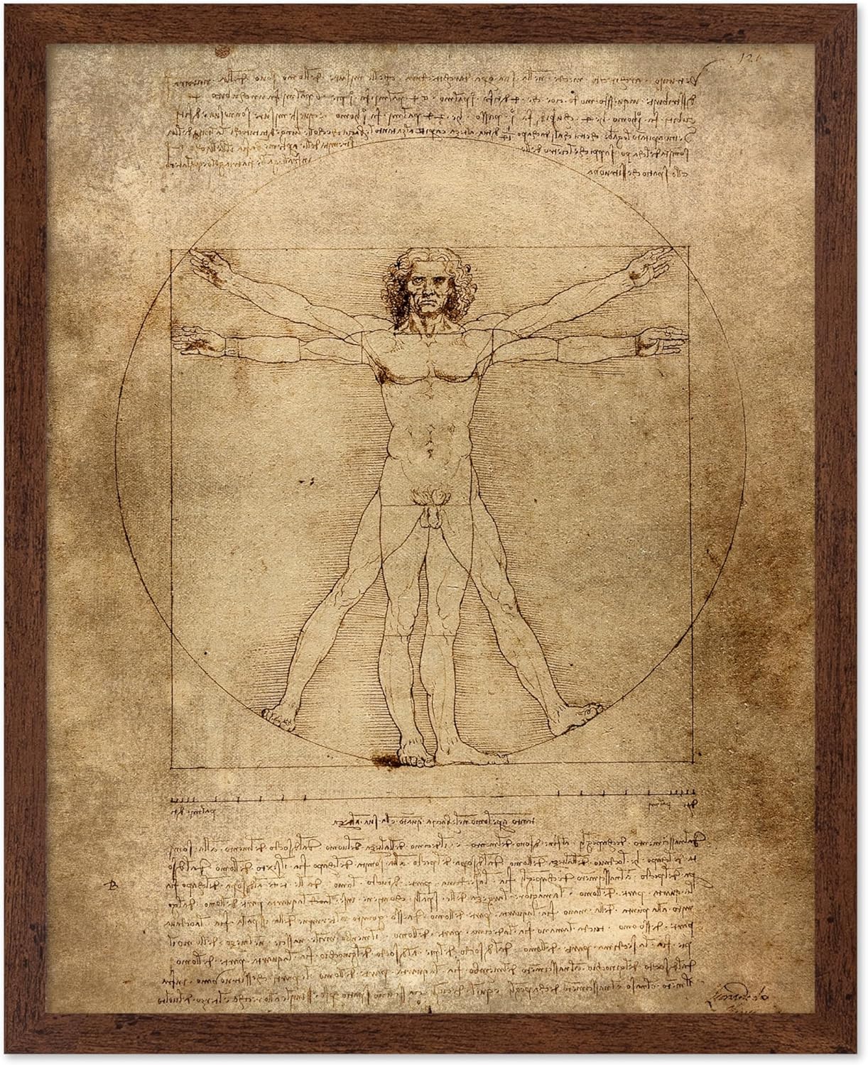 Poster Master Classic Leonardo Da Vinci Poster - Vintage Renaissance Print - Gift for Artist, Friend - Vitruvian Man, Proportion, Symmetry, Human Body - Wall Decor for Office, 16x20 Brown Framed