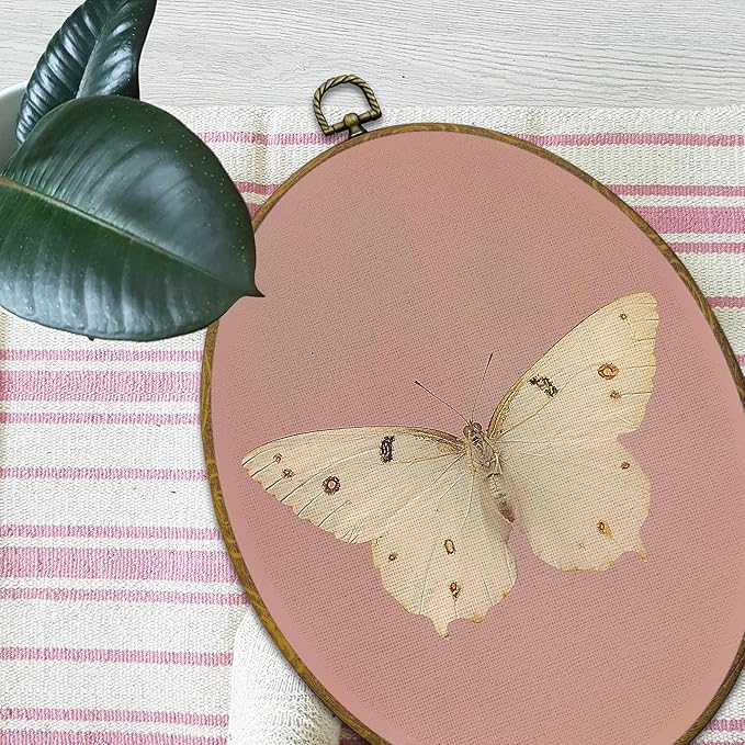 Mcehtle Vintage Butterfly Pink Wall Art Decor, Retro Cottagecore Butterfly Oval Framed Canvas Prints 8.6x11.4, Neutral Moody Farmhouse Wall Hanging Artwork Decorations for Girls Home Bedroom Living Room